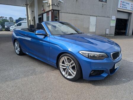 BMW 2 SERIES 2.0 220d M Sport Convertible
